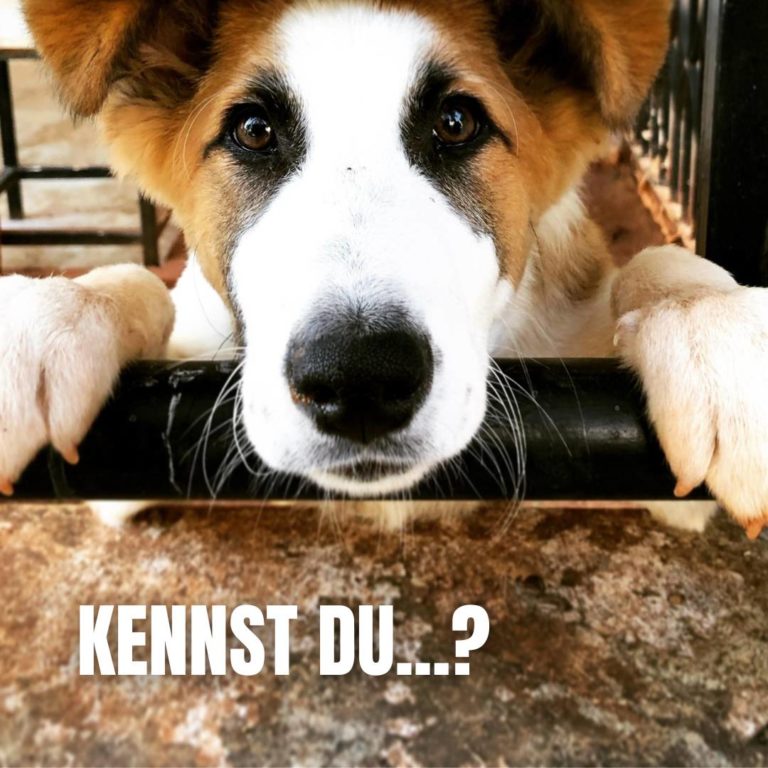 Kennst du...?