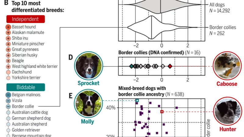 Canine Science