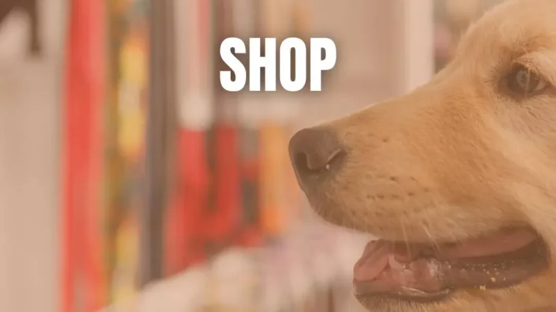 Hunde-Shop