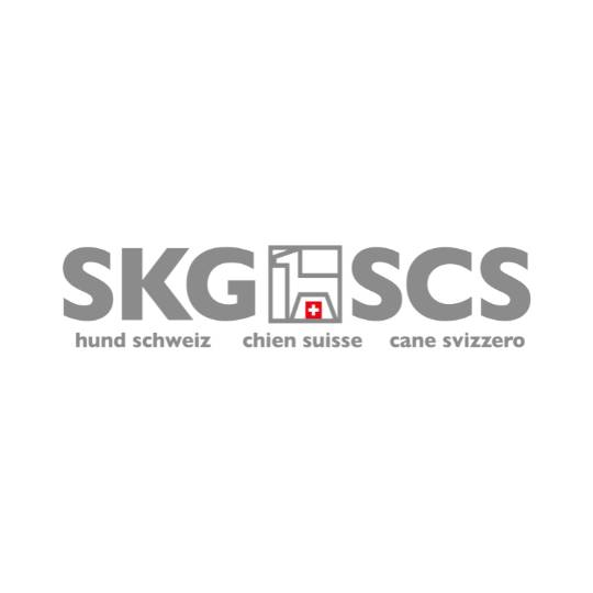 SKG - SCS : 