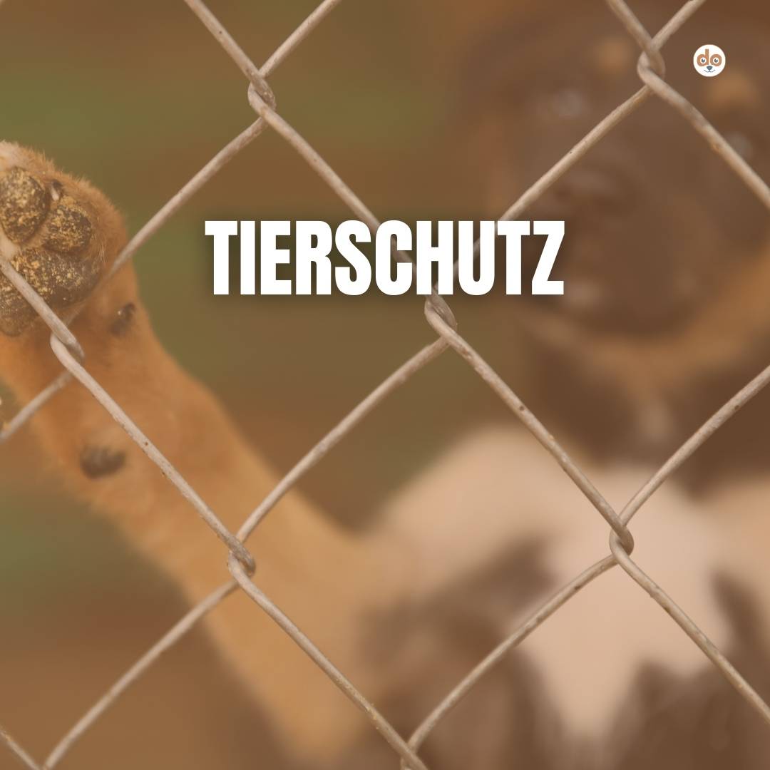 Tierschutz