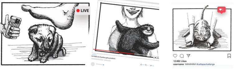 #stoppTierleid Bild von WTG