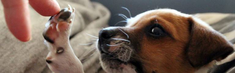 Zusammen mit Repsekt und Vorsicht