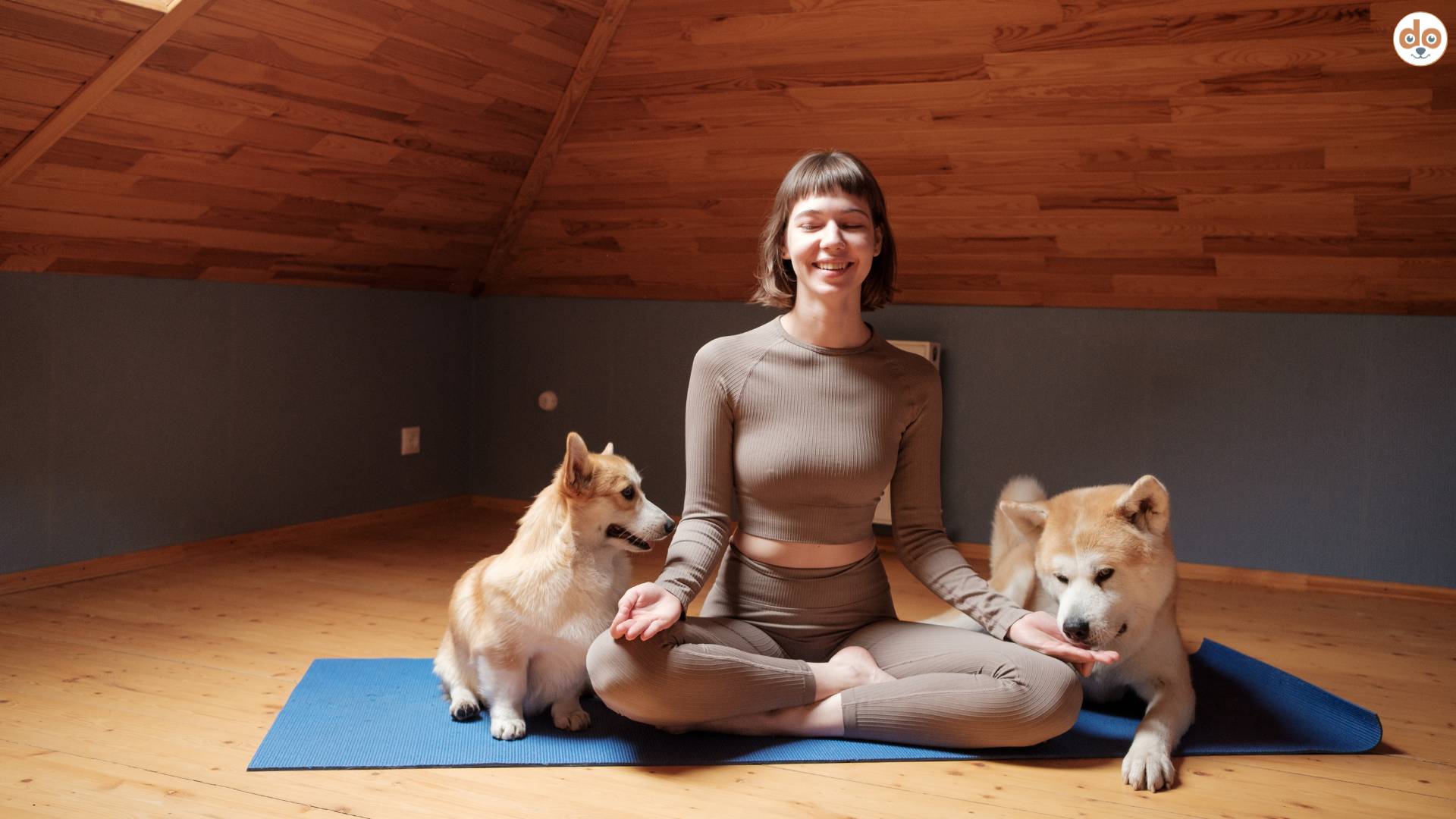 Auf Yoga-Matte mit Hunden