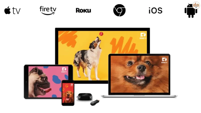 DOGTV, Fernsehsender nur für Hunde