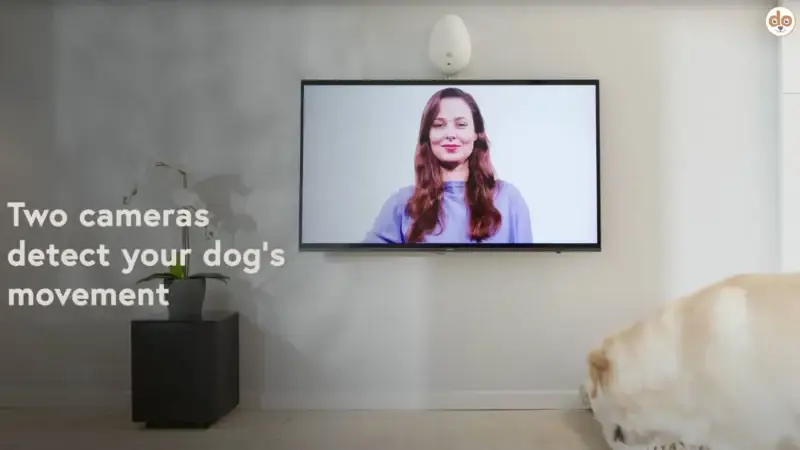 Go Dogo – digitales Hundetraining durch KI
