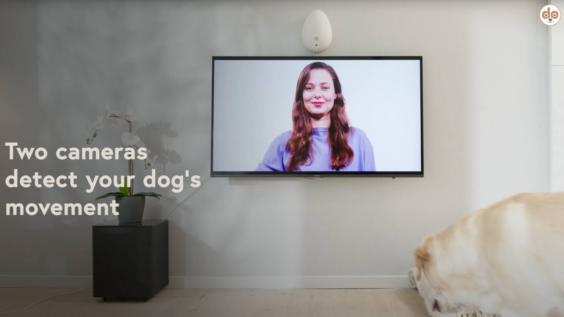Go Dogo digitales Hundetraining