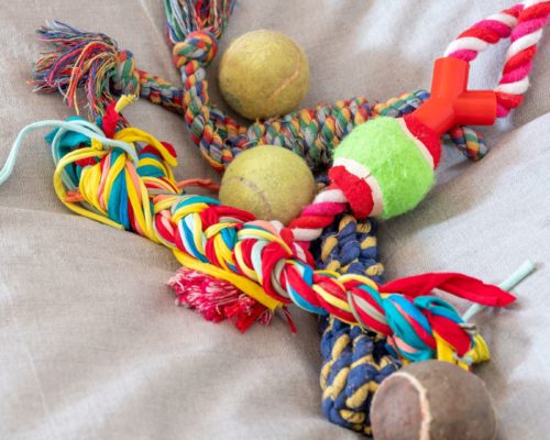 Osterbasteln, Hundespielzeug selber machen