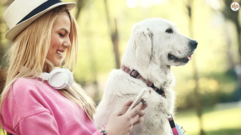 Kopfhörer ade – Warum du deinem Hund beim Gassi die volle Aufmerksamkeit schenken solltest