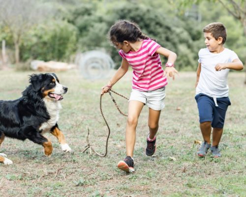 Studie zeigt, dass Kinder mit Hunden sich mehr bewegen
