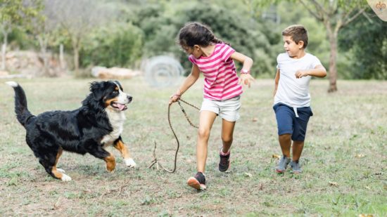Studie zeigt, dass Kinder mit Hunden sich mehr bewegen