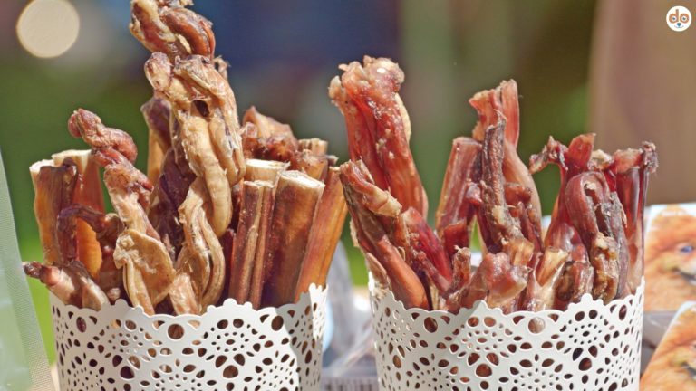 Kaustangen, Naturkauartikel für Hunde