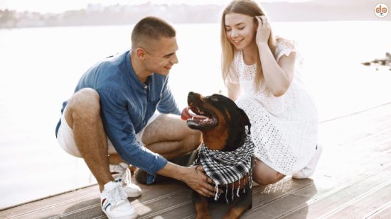 Das Dogsharing Konzept, zwei Menschen sitzen mit Rottweiler am See
