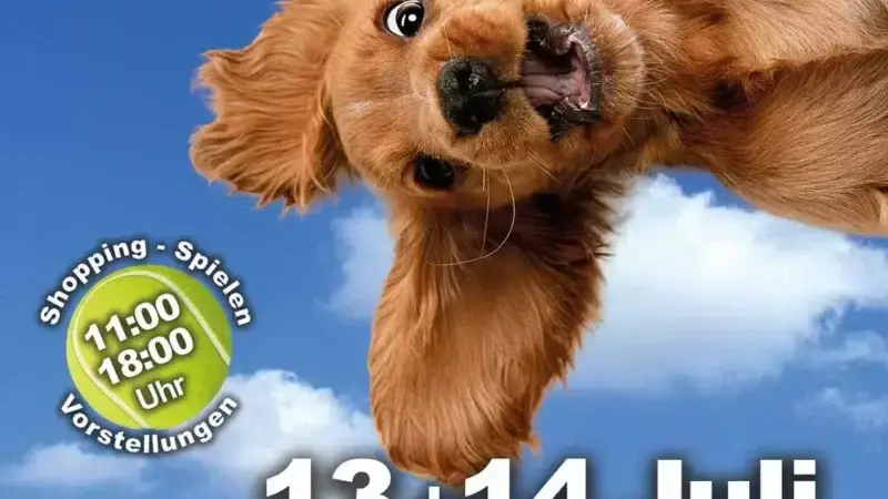 Plakat-Dog-Days-Hannover