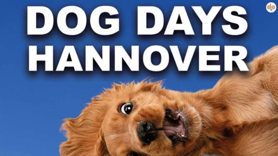 Titelbild Dog Days Hannover