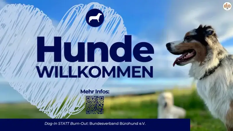 Morgen ist es soweit: Der internationale Bürohundtag am 21. Juni 2024
