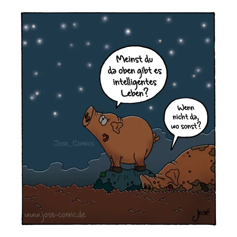 Zwei braune Schweine unter Sternenhimmel: eines steht auf einem Stein und fragt philosophisch, das andere antwortet pragmatisch