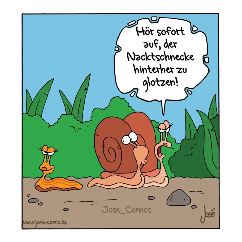 Zwei Schnecken im Garten, eine trägt eine grosse Muschel als Haus, die andere spricht sie an