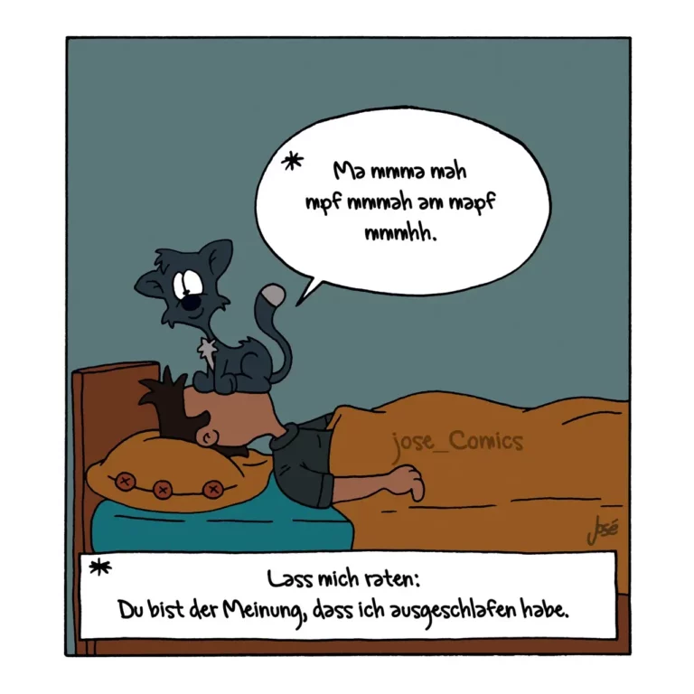 Schwarze Katze sitzt auf Hundenapf im Bett, spricht in wirrem Text, Hund liegt daneben und denkt: Du bist der Meinung, dass ich ausgeschlafen habe