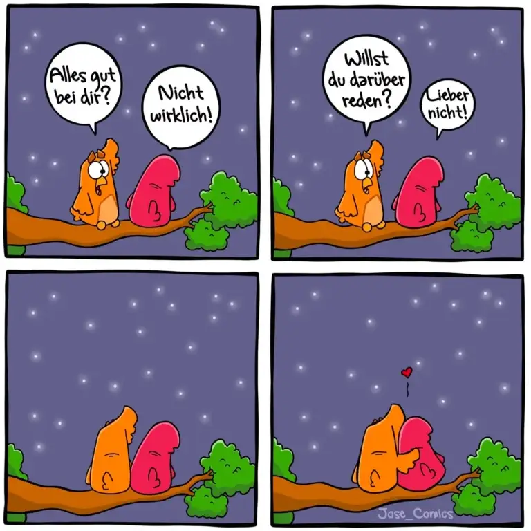 Zwei bunte Vögel sitzen nachts auf einem Ast. Im ersten Panel fragt der orange Vogel besorgt, der rote antwortet abweisend. Im vierten Panel umarmen sie sich zärtlich mit einem kleinen roten Herz darüber.