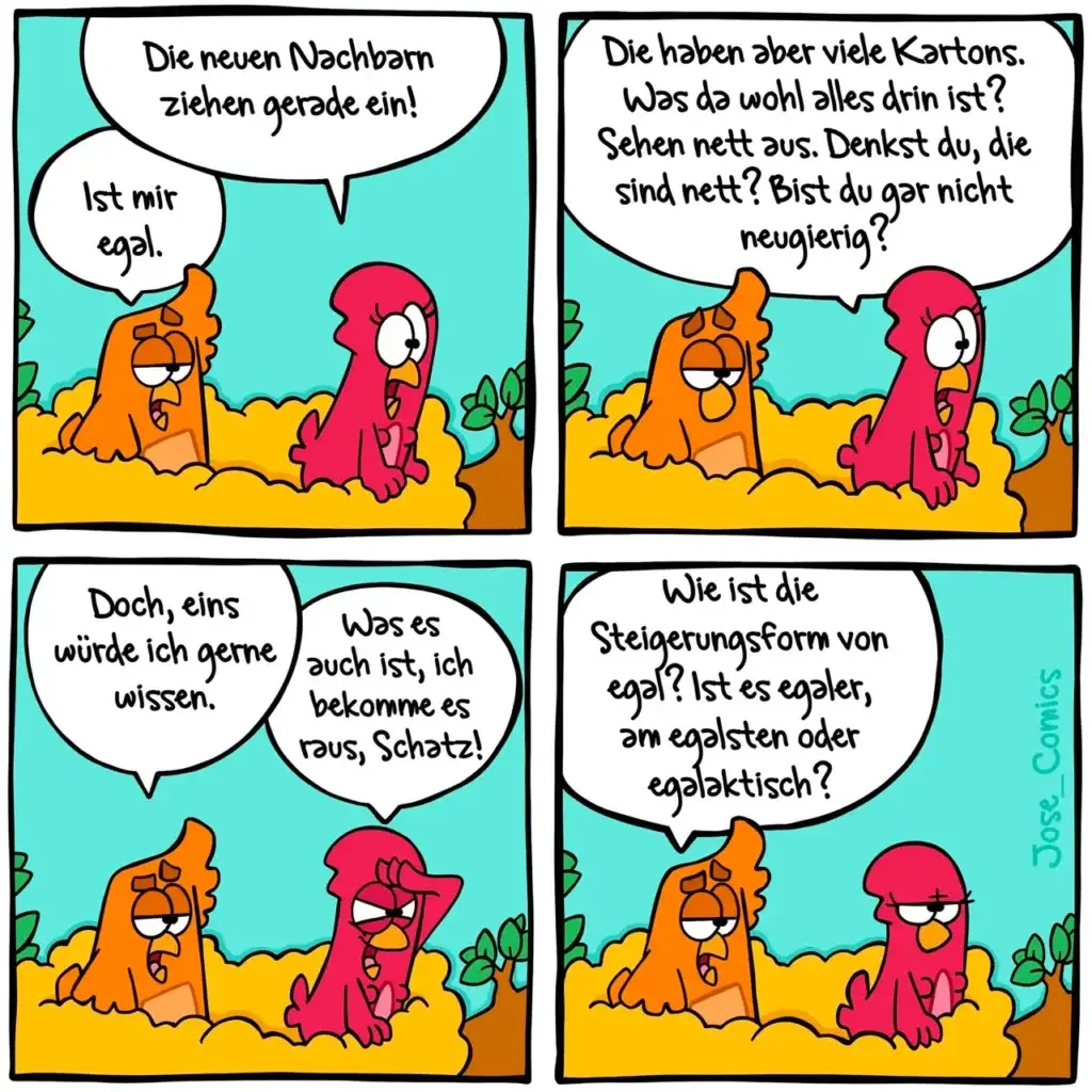 Zwei bunte Vogelfiguren im Dialog: orange Vogel und roter Vogel unterhalten sich über Nachbarn und deren Sauberkeit