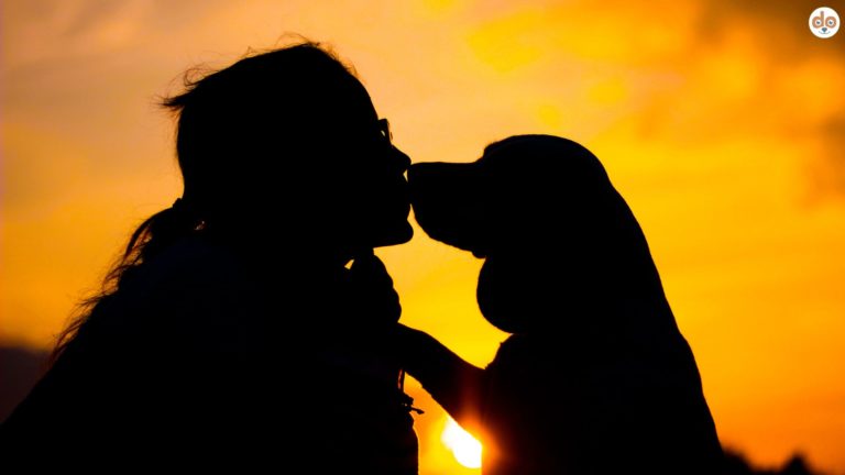 Rituale festigen, Schatten von Frau und Hund, die sich Kuss geben, vor Sonnenaufgang