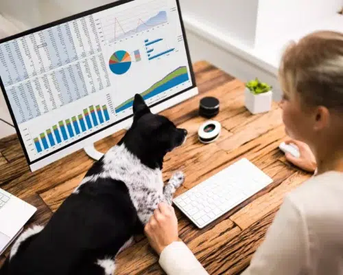 Datenschutz, Hund auf Bürotisch Daten