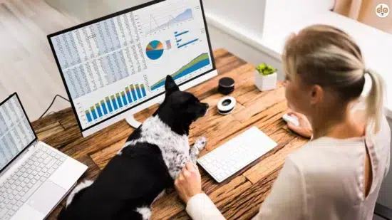 Datenschutz, Hund auf Bürotisch Daten