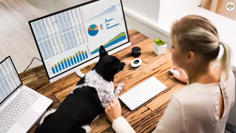 Datenschutz bei rundum.dog