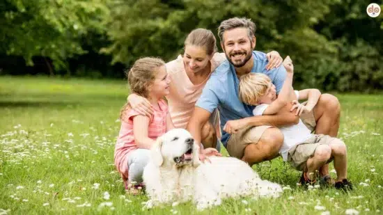 Junge Familie mit Golden Retriever glücklich im Garten, Interaktion mit Hunden tut Menschen nachweislich gut