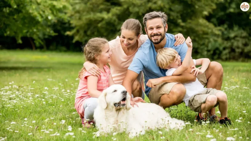 Im Gehirn messbar: Interaktion mit Hunden tut dem Menschen gut