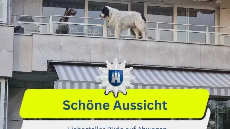 Liebestoller Rüde in Hamburg. Foto: Polizei Hamburg
