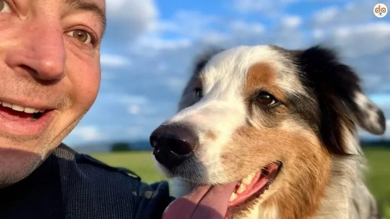 Das Hundeportal: Dein Tor zu Wissen und Verantwortung