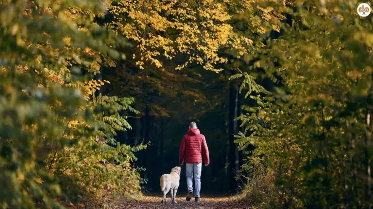 Mann läuft mit Hund in einem Naturpark Wald