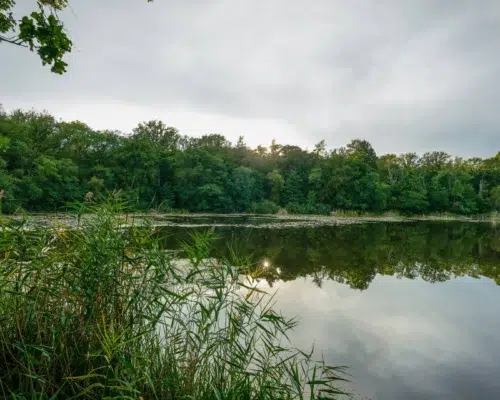 Naturpark Westhavelland