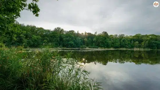 Naturpark Westhavelland