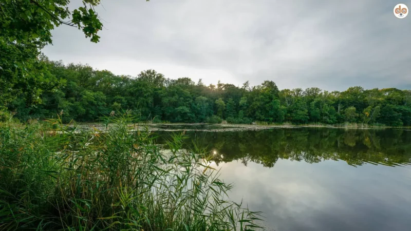 Naturpark Westhavelland