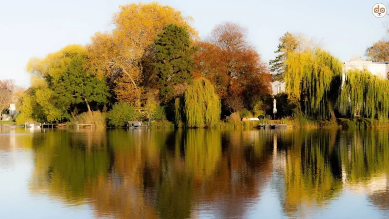 Potsdam-Mittelmark