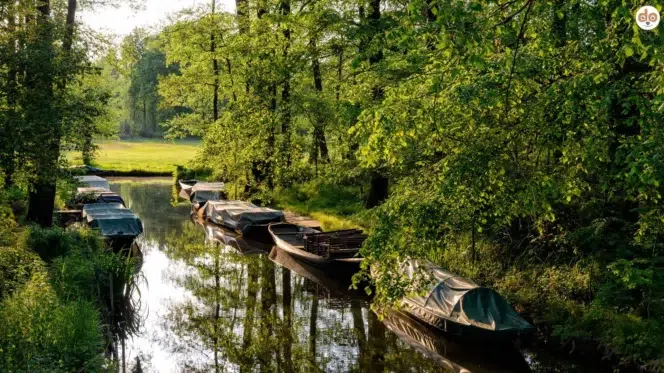 Spreewald