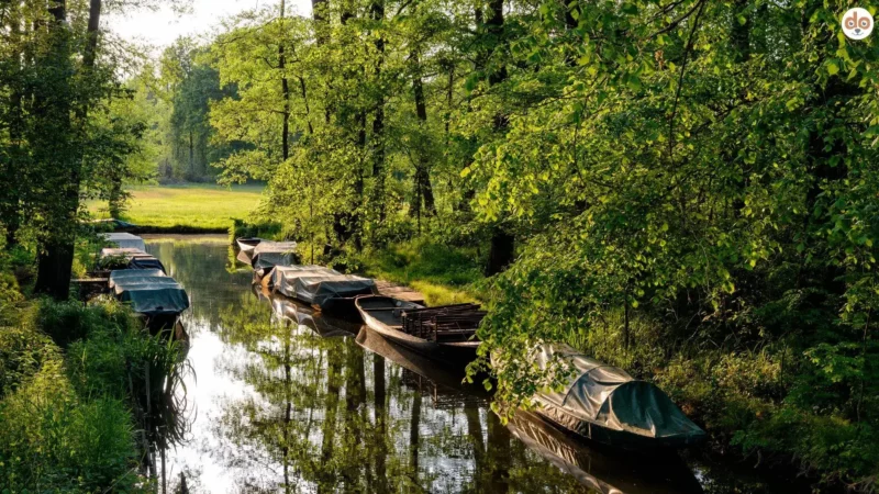 Oberspreewald-Lausitz