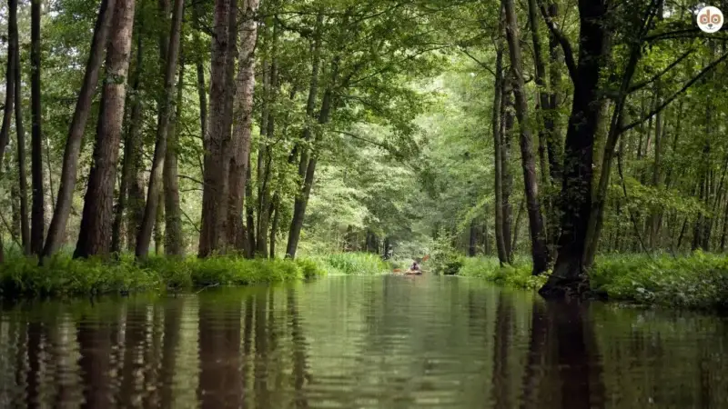 Spreewald