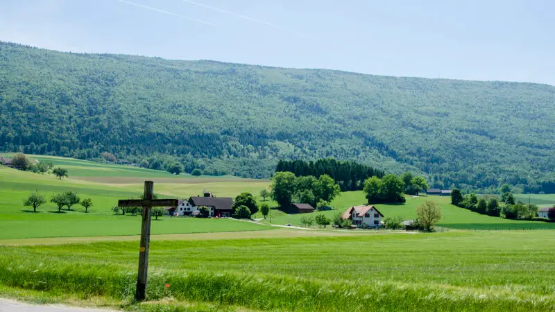 Mit deinem Hund durch Solothurn: Die besten Spaziergänge in der Natur - Naturpark Thal cassinam 41