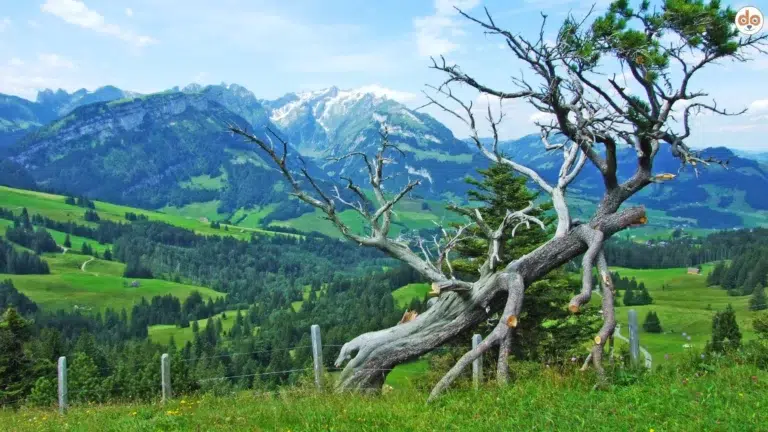 Kanton Appenzell-Innerrhoden
