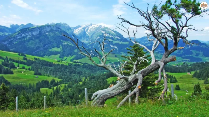 Kanton Appenzell Innerrhoden: Ein Juwel der Ostschweiz