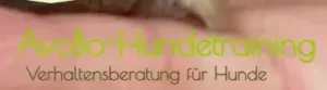 Logo AvoBo-Hundetraining