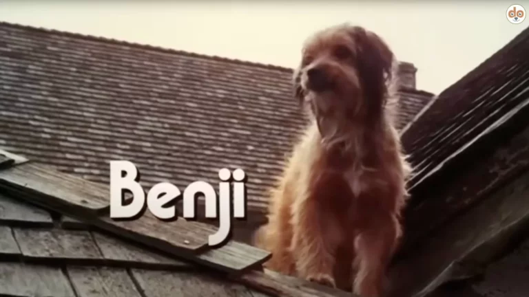 Benji 1974