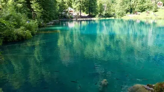 Blausee im Berner Oberland