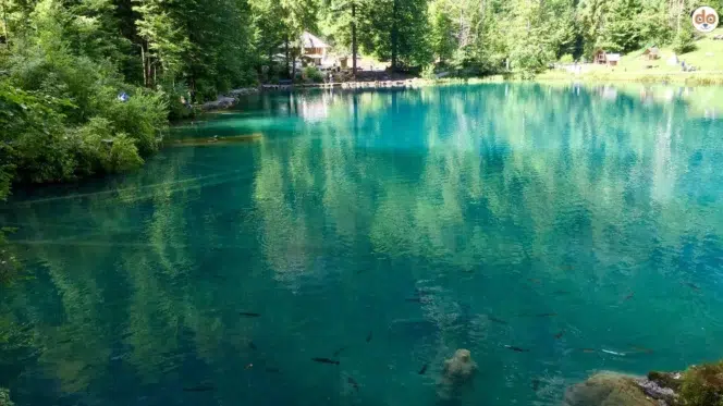 Blausee im Berner Oberland