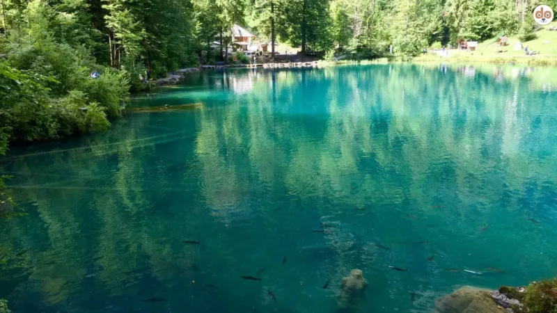 Blausee im Berner Oberland
