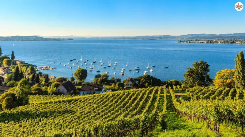 Bodensee
